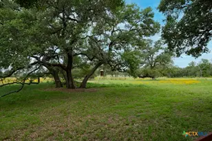 104 Longhorn Rd, Stockdale, TX 78160 - Photo 31