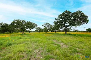 104 Longhorn Rd, Stockdale, TX 78160 - Photo 25