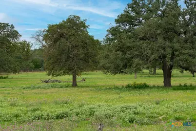 104 Longhorn Road, Stockdale, TX 78160 - Photo 5
