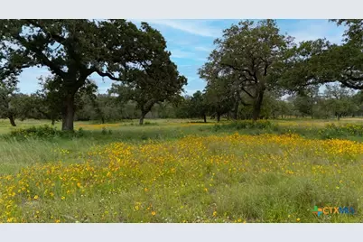 104 Longhorn Road, Stockdale, TX 78160 - Photo 37