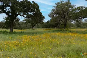 104 Longhorn Rd, Stockdale, TX 78160 - Photo 37