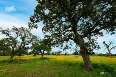 104 Longhorn Road, Stockdale, TX 78160 - Photo 23