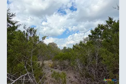1447 Carson Creek, Canyon Lake, TX 78133 - Photo 5