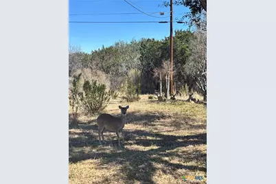 4405 Pawnee Trail, Harker Heights, TX 76548 - Photo 19