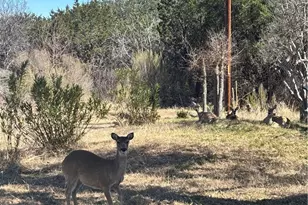 4405 Pawnee Trail, Harker Heights, TX 76548 - Photo 19