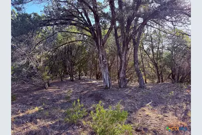 3600 Stagecoach Ranch Loop, Dripping Springs, TX 78620 - Photo 13