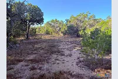 3600 Stagecoach Ranch Loop, Dripping Springs, TX 78620 - Photo 11