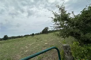 Tract D-2 Sh 95 Hwy, Smithville, TX 78957 - Photo 3