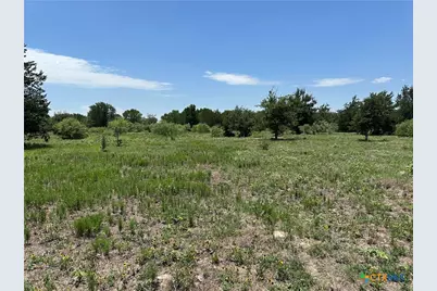 Tract 3D Hwy 95, Smithville, TX 78957 - Photo 3