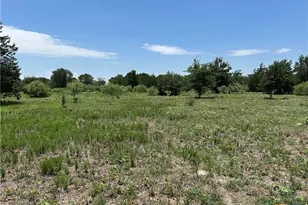 Tract 3D Hwy 95, Smithville, TX 78957 - Photo 3