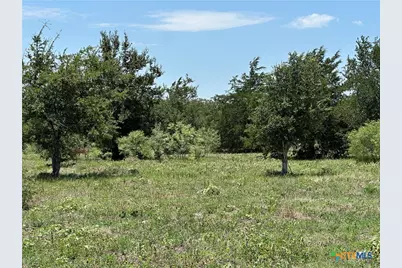 Tract 3D Hwy 95, Smithville, TX 78957 - Photo 1