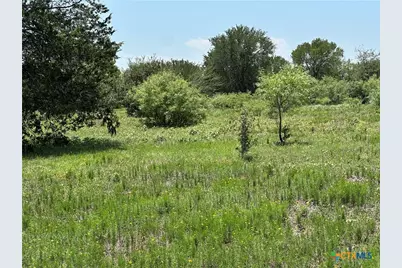 Tract 3D Hwy 95, Smithville, TX 78957 - Photo 7