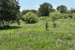 Tract 3D Hwy 95, Smithville, TX 78957 - Photo 7