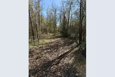 10794 Fm 2159, Calvert, TX 77837 - Photo 45