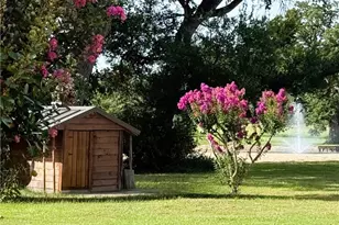 10794 FM 2159, Calvert, TX 77837 - Photo 41