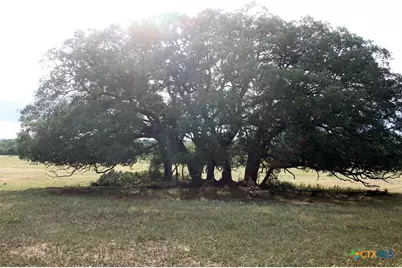 6019 Fm 3158, Dale, TX 78616 - Photo 11