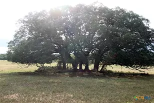 6019 Fm 3158, Dale, TX 78616 - Photo 11