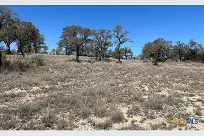 1161 Brads Flight, Canyon Lake, TX 78133 - Photo 5