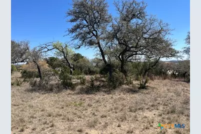 1161 Brads Flight, Canyon Lake, TX 78133 - Photo 9