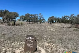 1161 Brads Flight, Canyon Lake, TX 78133 - Photo 1