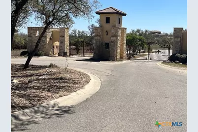 1161 Brads Flight, Canyon Lake, TX 78133 - Photo 3