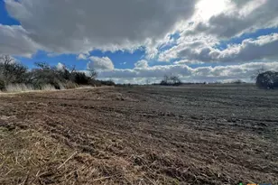 Tbd County Road 196, Georgetown, TX 78626 - Photo 5