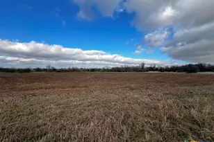 Tbd County Road 196, Georgetown, TX 78626 - Photo 9