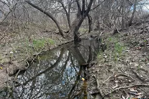 Tbd County Road 196, Georgetown, TX 78626 - Photo 13