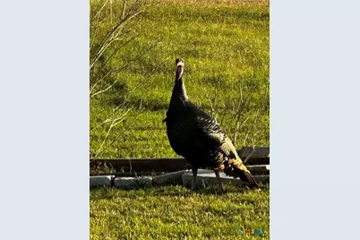 1206 Al Calde De La Bahia, Goliad, TX 77963 - Photo 33