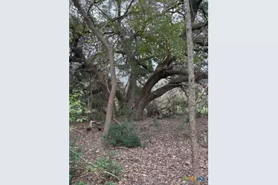 2082 Fm 318, Hallettsville, TX 77964 - Photo 5