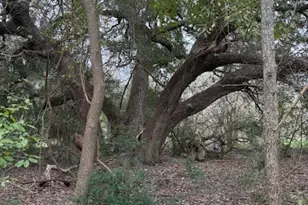 2082 FM318, Hallettsville, TX 77964 - Photo 5