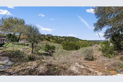 8010 Devonshire Drive, Spring Branch, TX 78070 - Photo 31