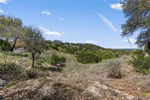 8010 Devonshire Dr, Spring Branch, TX 78070 - Photo 31