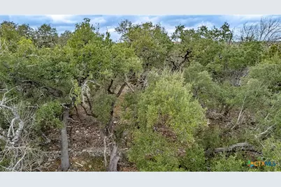 250 Mail Route Road, Fischer, TX 78623 - Photo 19