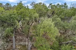 250 Mail Rte Rd, Fischer, TX 78623 - Photo 19