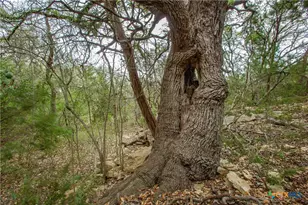 250 Mail Rte Rd, Fischer, TX 78623 - Photo 15