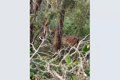 2872 Lakeview Drive, Canyon Lake, TX 78133 - Photo 41