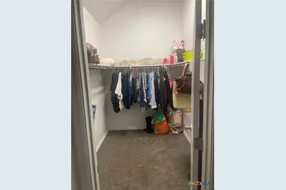 336 Teakmill Trail, San Marcos, TX 78666 - Photo 17