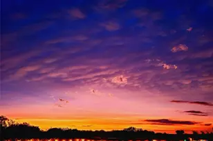 913 Blue Oak Blvd, San Marcos, TX 78666 - Photo 17