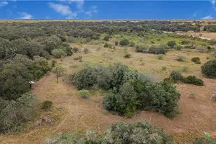 Tbd Tx-111, Edna, TX 77957 - Photo 19