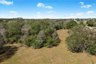 Tbd Tx-111, Edna, TX 77957 - Photo 3