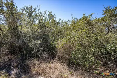 Blk A Tr 13 Rhodes Avenue, Aransas Pass, TX 78336 - Photo 35