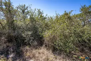 Blk A Tr 13 Rhodes Ave, Aransas Pass, TX 78336 - Photo 35