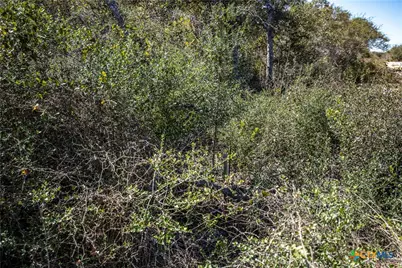 Blk A Tr 13 Rhodes Avenue, Aransas Pass, TX 78336 - Photo 33