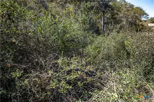 Blk A Tr 13 Rhodes Ave, Aransas Pass, TX 78336 - Photo 33