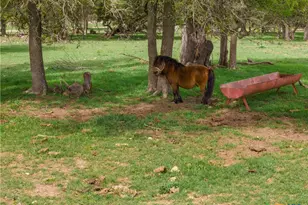 6200 Solana Ranch Rd, Salado, TX 76571 - Photo 39