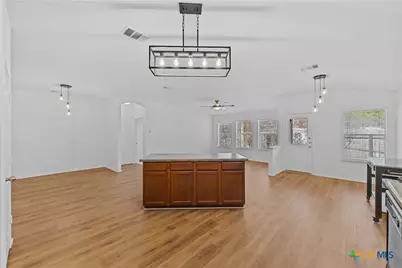 1310 Grande Mesa Drive, Georgetown, TX 78626 - Photo 5