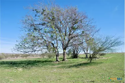 Tbd State Hwy 95, Moulton, TX 77975 - Photo 19