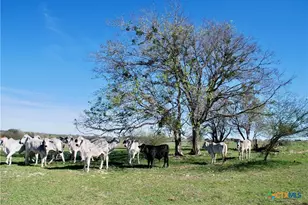 Tbd State Hwy 95, Moulton, TX 77975 - Photo 21