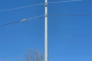 941 Matamoros St, Seguin, TX 78155 - Photo 5